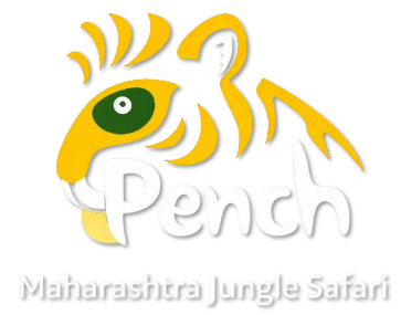 logo not found